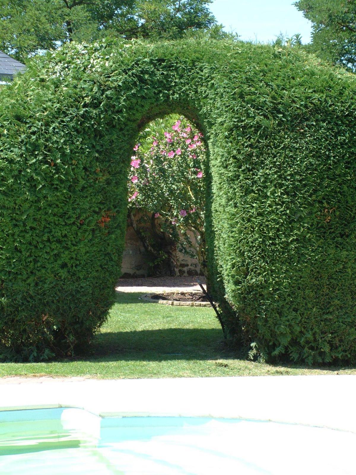 Le Clos de la Chapelle - Gîte Les Magnolias Exterior foto