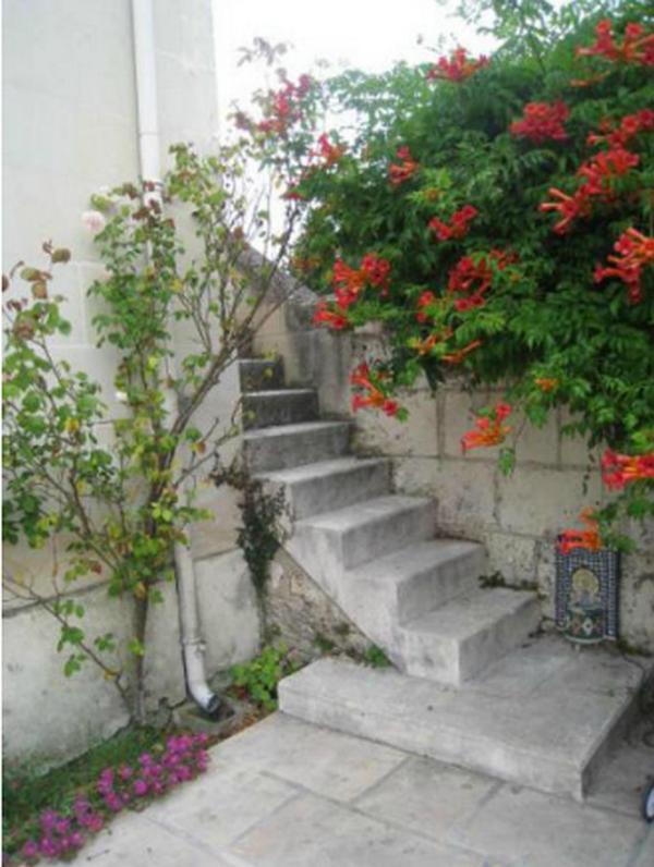 Le Clos de la Chapelle - Gîte Les Magnolias Exterior foto